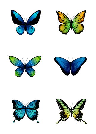 Coloured butterflies collection. vector illustration