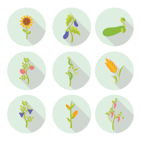 Sun flower: beschneidet flache Ikonen Illustration