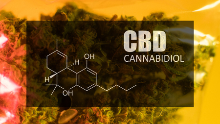 Bid marijuana buds of strong strain with the image of the formula CBD cannabidiol
