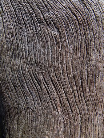 Wooden Post Texture Wooden Post Texture