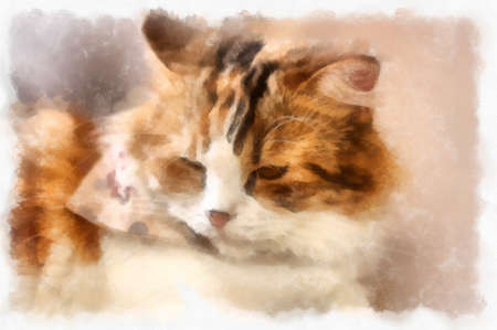 【原画】『無重力遊戯②』猫　ネコ　イラスト　絵画　パステル画　癒し 原画】『無重力遊戯②』猫 ネコ イラスト 絵画 パステル画 癒し