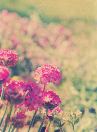 Floral Background With A Vintage Effect Stock Photo Picture And Royalty Free Image Image 27420028