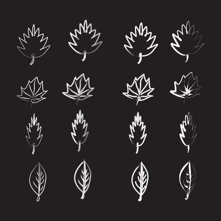 Sets of freehand floral for backgrounds, invitations, border frames and design elements