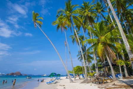トルトゥーガ島 コスタリカの熱帯のビーチ の写真素材 画像素材 Image トルトゥーガ島 コスタリカの熱帯のビーチ の写真素材 画像素材 Image