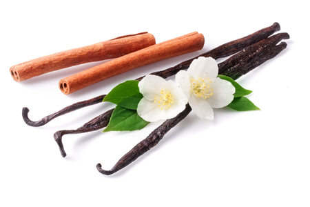 Vanilla sticks and cinnamon with flower isolated on white background.