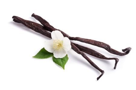 Vanilla sticks with flower and leaf isolated on white background.