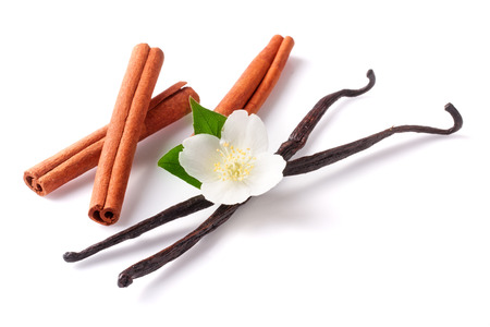 Vanilla sticks and cinnamon with flower isolated on white background Фото со стока
