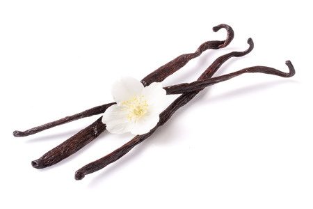 Vanilla sticks with flower isolated on white background.