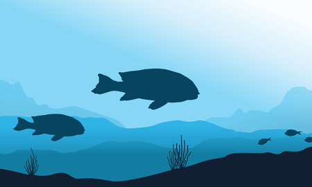 silhouette of fish underwater landscape vector flat royalty free