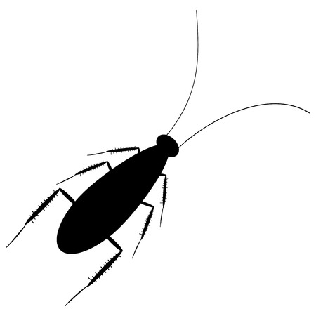 青い目とその頭を有効にクロールを停止中長い触角がある嫌な茶色のゴキブリあなたを凝視し 笑顔いたずらっぽく のイラスト素材 ベクタ Image