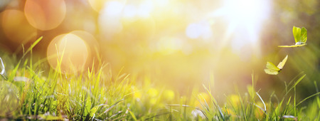 art abstract spring background or summer background with fresh grass and butterfly