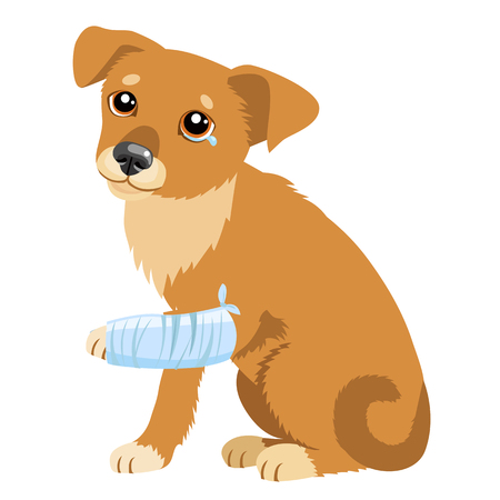 559 Dog Injured Vectores, Ilustraciones y Gráficos - 123RF