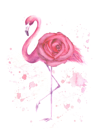 熱帯のエキゾチックなピンクのフラミンゴとバラのハートのカップルは 白い背景に隔離されています 水彩画描き下ろしイラスト の写真素材 画像素材 Image