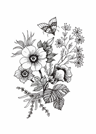 flower sketch stock photos royalty free flower sketch images