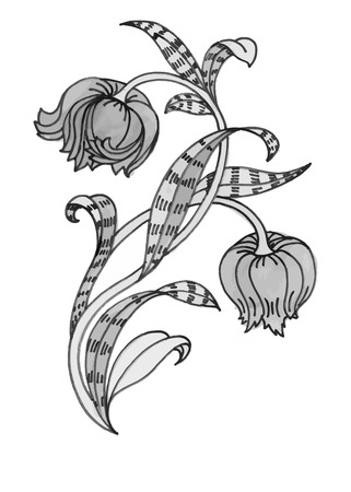 美しい手描きの白黒花イラストのイラスト素材 ベクタ Image