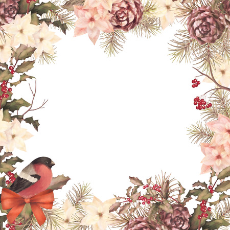 poinsettia borders