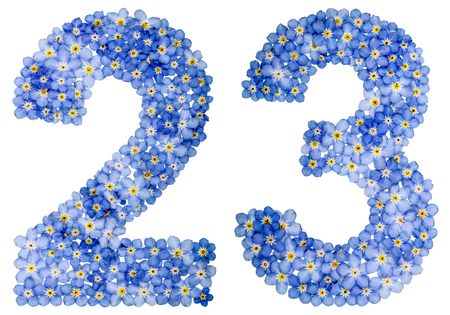 アラビア数字 13 13 青いワスレナグサの花 白い背景で隔離から の写真素材 画像素材 Image 7102