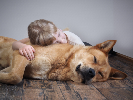 小さな子供と一緒に寝ている大きな犬が床に横たわっている の写真素材 画像素材 Image