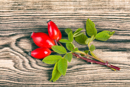 熱いお茶とガラス鉢のマグカップにローズヒップのセットです ロサ カニナ 緑の葉と美しい赤いイバラのコレクションです 白い背景上に分離 の写真素材 画像素材 Image 熱いお茶とガラス鉢のマグカップにローズヒップのセットです ロサ カニナ 緑の葉と美しい赤いイバラのコレクションです 白い背景上に分離 の写真素材 画像素材 Image