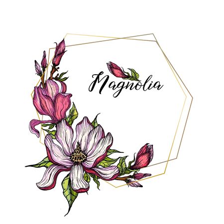 Vector bright flower collection of magnolia flowers
