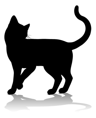 Chat Noir Et Blanc Imagenes Y Fotos 123rf Chat Noir Et Blanc Imagenes Y Fotos 123rf
