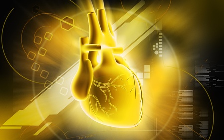 1 140 344 Menschliches Herz Lizenzfreie Bilder Und Fotos Kaufen 123rf