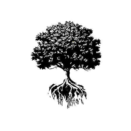 Trees And Roots silhouette. Oak And Olive Trees.