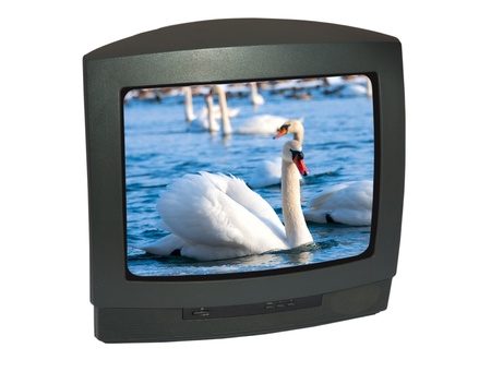 白い背景に分離されたブラウン管テレビ の写真素材 画像素材 Image 白い背景に分離されたブラウン管テレビ の写真素材 画像素材 Image