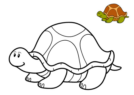 Coloring Book For Children, Turtle Stock Photo, Picture And Royalty ... Coloring Book For Children, Turtle Stock Photo, Picture And Royalty ...