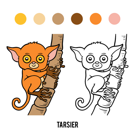 Coloring Book For Children Tarsier Illustration