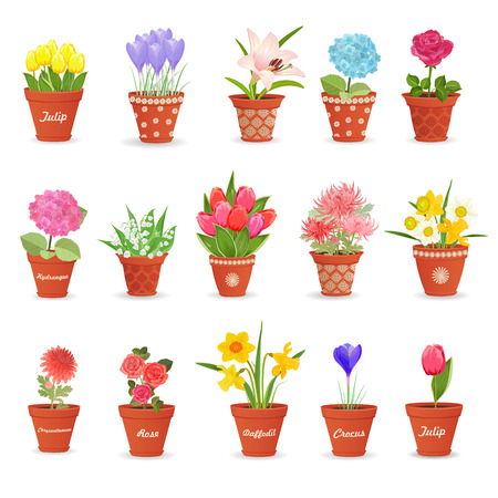 庭の花の成長段階 チューリップ 3 つの段階でチューリップの生育過程 イラスト のイラスト素材 ベクタ Image 庭の花の成長段階 チューリップ 3 つの段階でチューリップの生育過程 イラスト のイラスト素材 ベクタ Image