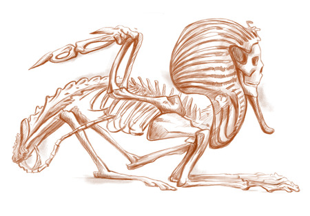 伝説的な動物やモンスター スケルトン シリーズのイラスト スフィンクス 描画し フル塗装 手サイズのイラスト オリジナル バージョン 手が白い背景上に描画します の写真素材 画像素材 Image 伝説的な動物やモンスター スケルトン シリーズのイラスト スフィンクス 描画し フル塗装 手サイズのイラスト オリジナル バージョン 手が白い背景上に描画します の写真素材 画像素材 Image