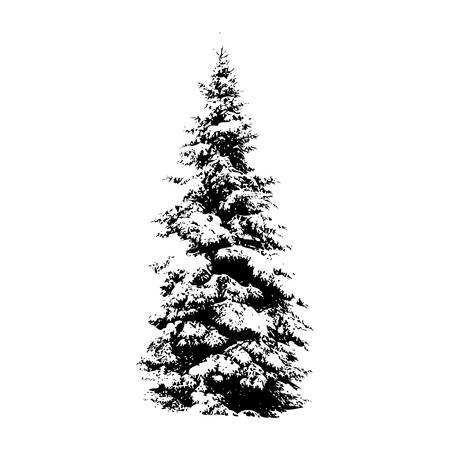 Pine tree, vector illustration for your design Vector Illustration