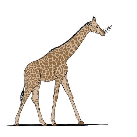 リアルなキリンの手描き水彩と色鉛筆ベクトル イラスト のイラスト素材 ベクタ Image リアルなキリンの手描き水彩と色鉛筆ベクトル イラスト のイラスト素材 ベクタ Image