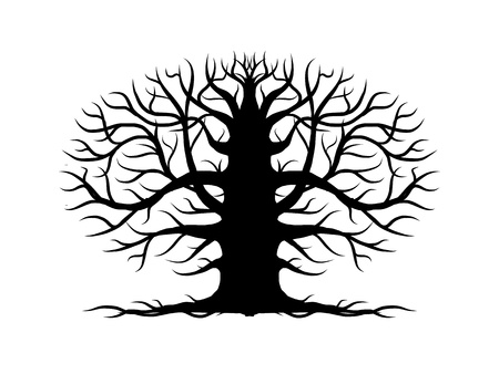 Old tree bare, silhouette for your design