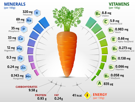 a carrot: Vitamin và khoáng chất của cà rốt củ. Infographics về chất dinh dưỡng trong củ cà rốt. minh họa véc tơ lượng về vitamin rau củ cà rốt sức khỏe dinh dưỡng thực phẩm chế độ ăn uống vv