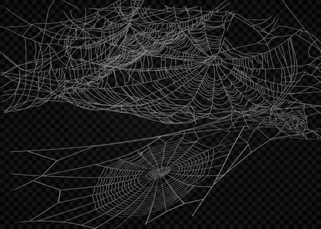 リアルなクモのクモの巣分離ベクトルアイコンのイラスト素材 ベクタ Image