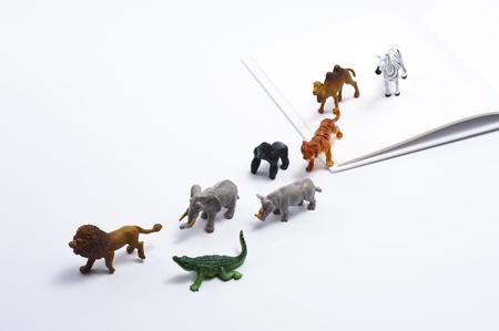 多くの種類の動物のおもちゃや開いている空の本 の写真素材 画像素材 Image