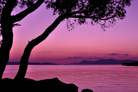 img-thumbnail