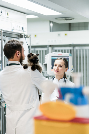 research veterinarians