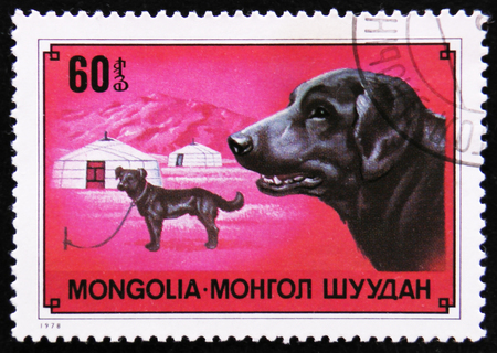 モスクワ ロシア連邦 17 年 4 月 2 日 モンゴル ショー犬ライカのプリント ポスト スタンプ スペースで 1 日犬 とロケット 1978 年頃 の写真素材 画像素材 Image モスクワ ロシア連邦 17 年 4 月 2 日 モンゴル ショー犬ライカのプリント ポスト スタンプ スペースで 1 日犬 とロケット 1978 年頃 の写真素材 画像素材 Image