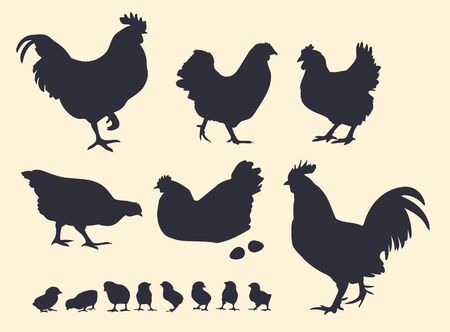 Dark vector silhouettes of poultry. roosters, hens and chickens. Banco de Imagens