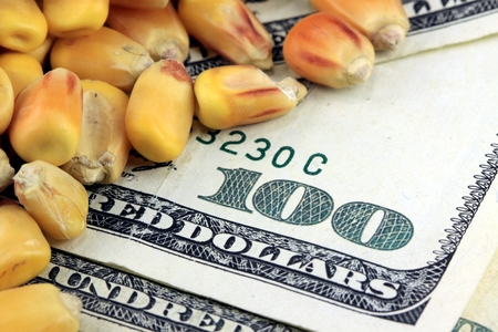 Trading options in commodities markets Trading options in commodities markets