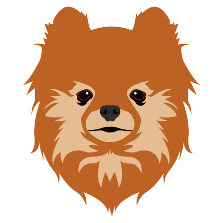 白い背景に分離されたポメラニアンの顔のアイコン ベクトルイラストのイラスト素材 ベクタ Image