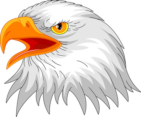 Eagle head mascot Vector Illustration