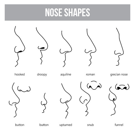 snub nose stock photos royalty free snub nose images