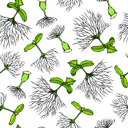 芽出し種子のシームレスな無限のベクトルイラスト 苗の背景 シュート 植物 木 花 野菜キュウリ ズッキーニ カボチャ メロン成長手描きサボヤール落書きスタイル のイラスト素材 ベクタ Image