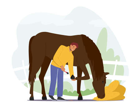 Stableman male characters care of purebred horse cleaning hooves with brush prepare stallion for equestrian contest