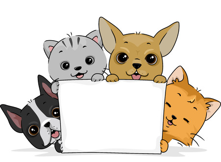 かわいい猫と空白のボードを持って犬のかわいいペアのイラスト の写真素材 画像素材 Image かわいい猫と空白のボードを持って犬のかわいいペアのイラスト の写真素材 画像素材 Image