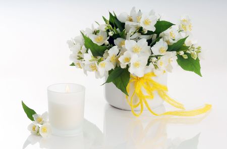 jasmine flowers arrangement Фото со стока